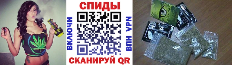 БУТИРАТ BDO 33%  hydra сайт  Шебекино  цена  