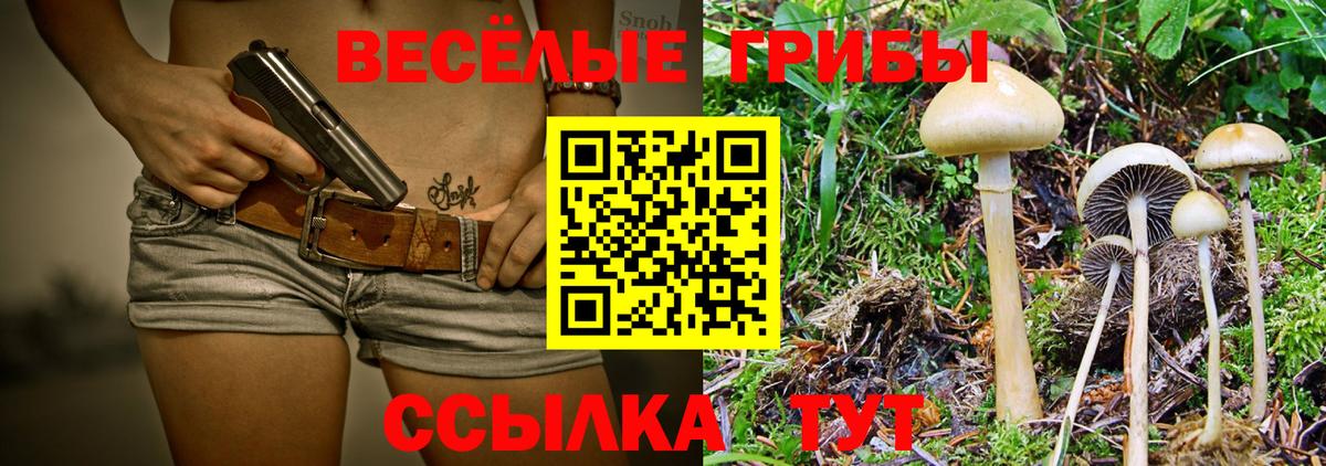 Галлюциногенные грибы мухоморы  Вход с VPN  Шебекино 