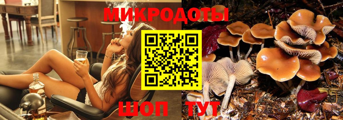 Псилоцибиновые грибы Cubensis Шебекино